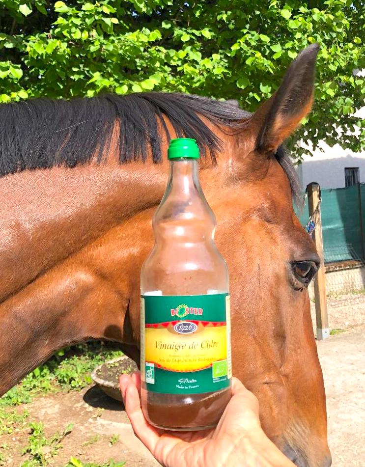 cheval et bouteille de vinaigre de cidre bon pour sa santé